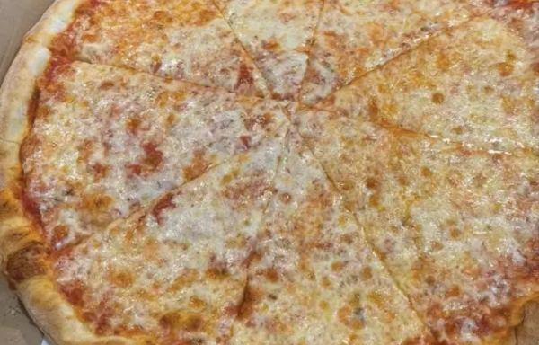 Large Plain Pizza