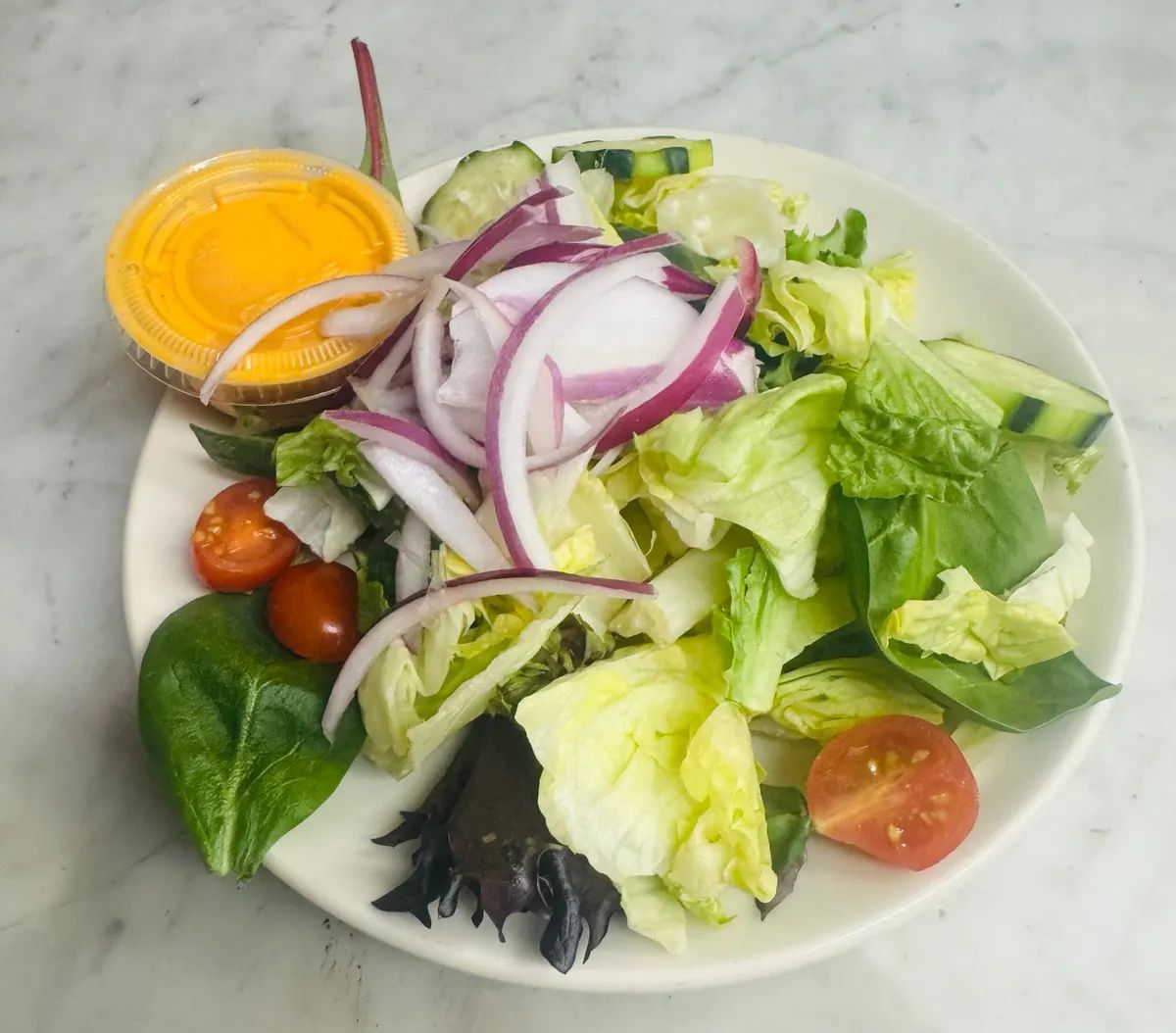 Large Garden Salad