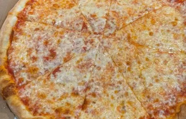 Large Plain Pizza